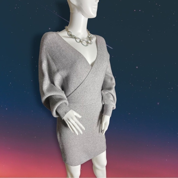 PETAL Roz Silver Gray Vneck Bodycon Sweater Dress Size Large - Picture 5 of 13